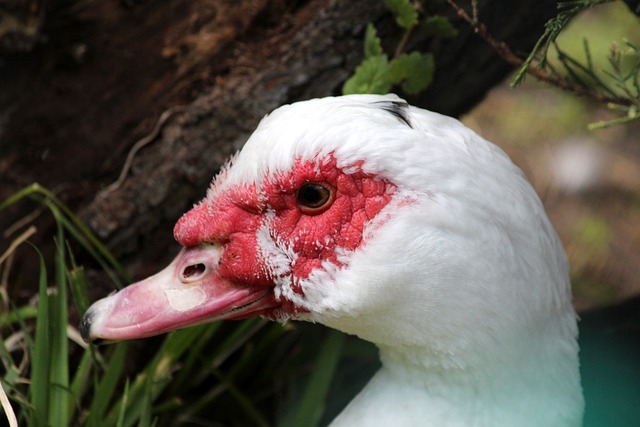 无疑给了阿 无疑给了阿