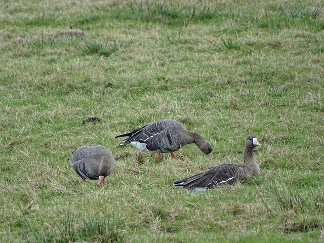 快速反击 快速反击