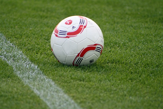 至其他領域 至其他領域