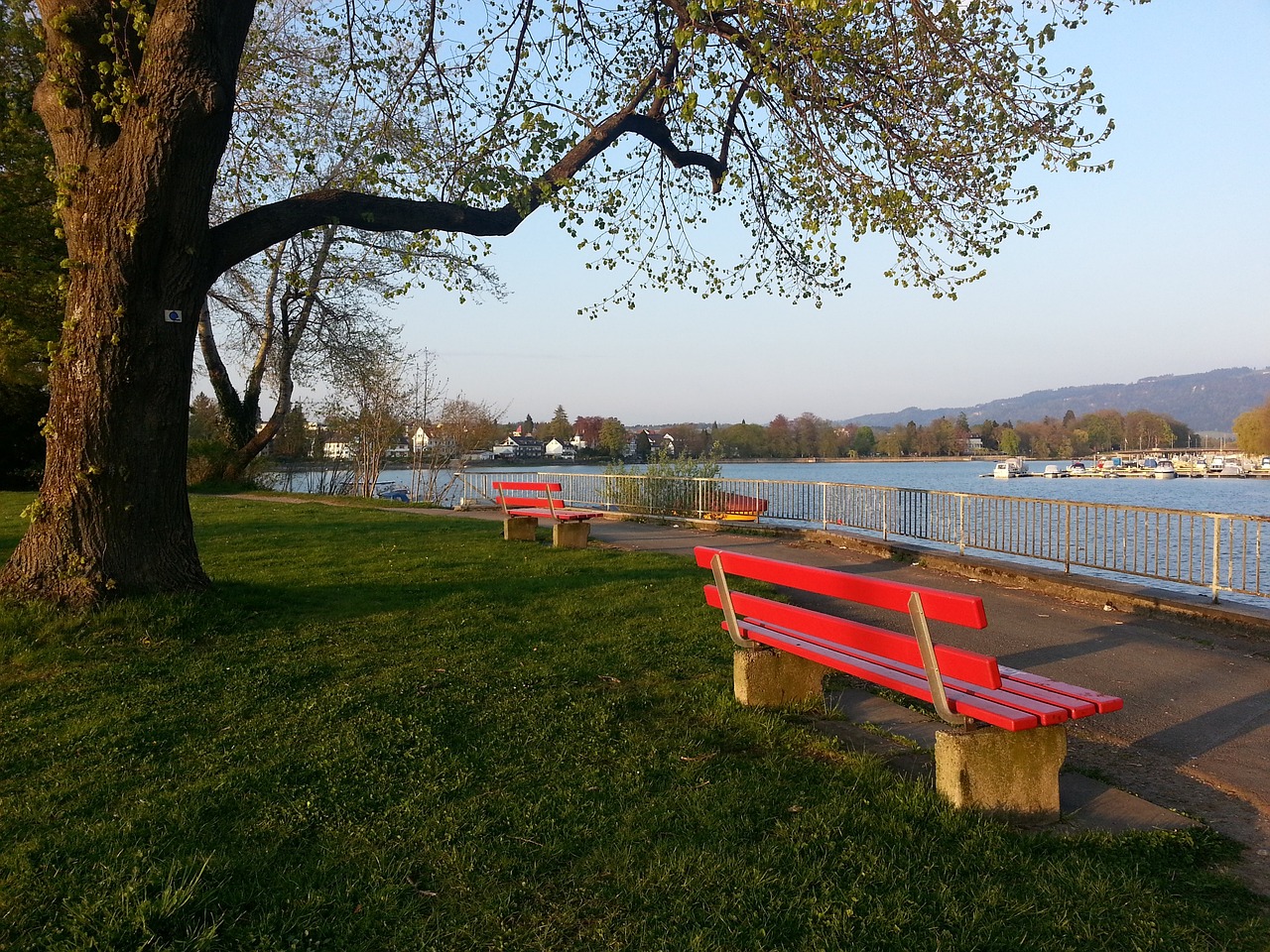 促进和平与 促进和平与