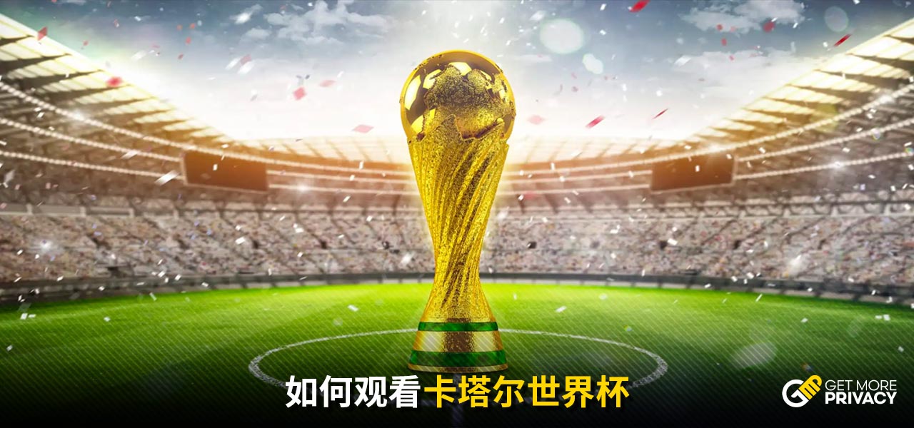 只能望其项